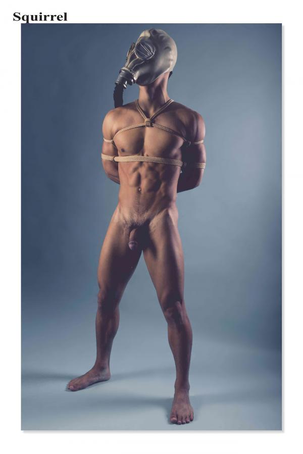 Squirrel-No.2--Young