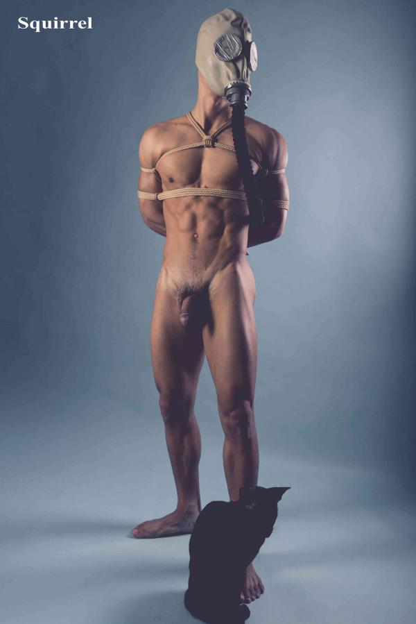 Squirrel-No.2--Young