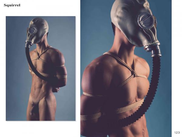 Squirrel-No.2--Young