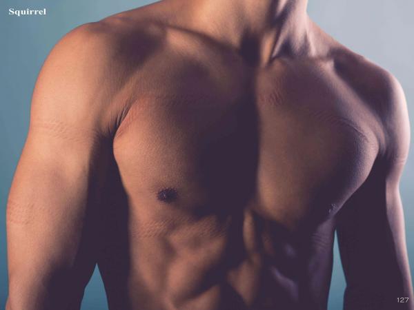 Squirrel-No.2--Young