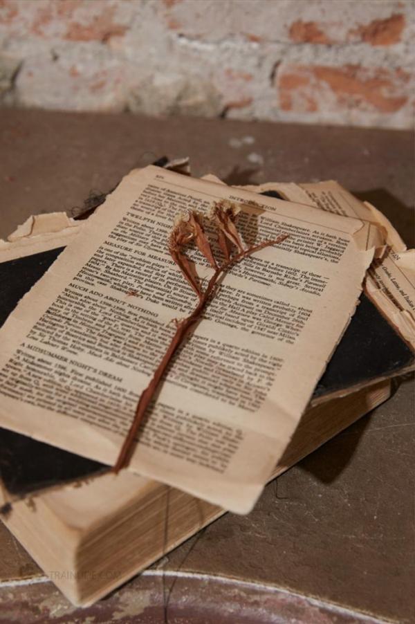 TXD-Magazine-Vol.5--Arthur-Awakening