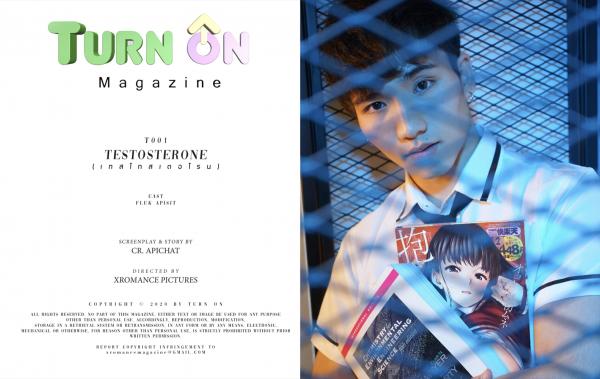 Testosterone-EbookVideo