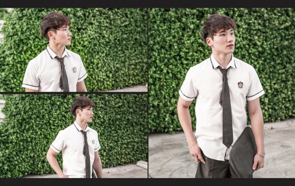 Testosterone-EbookVideo