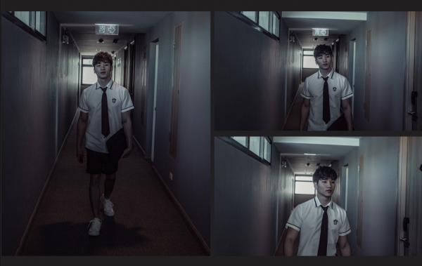 Testosterone-EbookVideo