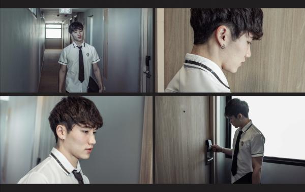 Testosterone-EbookVideo