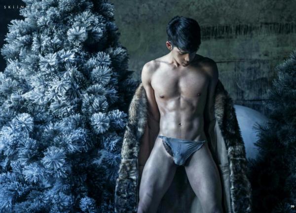 The-Pine-Forest--Special-Christmas-Collection