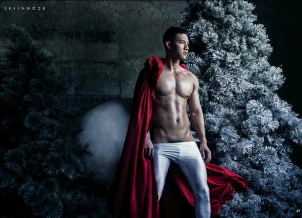 The-Pine-Forest--Special-Christmas-Collection