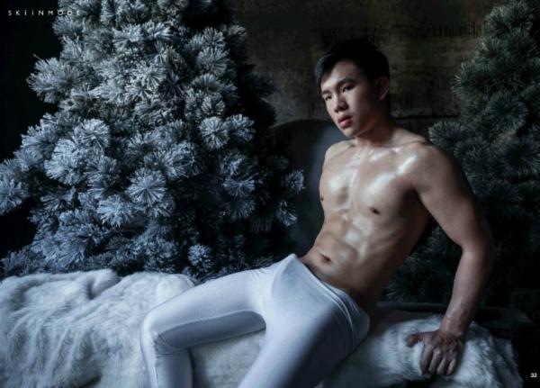 The-Pine-Forest--Special-Christmas-Collection