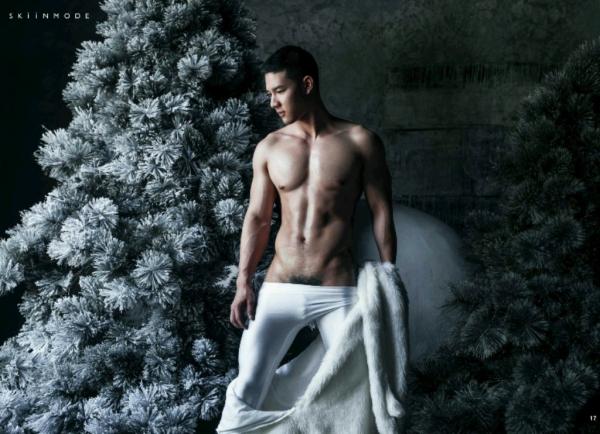 The-Pine-Forest--Special-Christmas-Collection