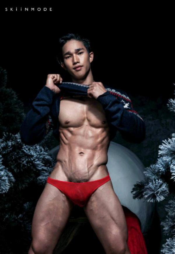 The-Pine-Forest--Special-Christmas-Collection