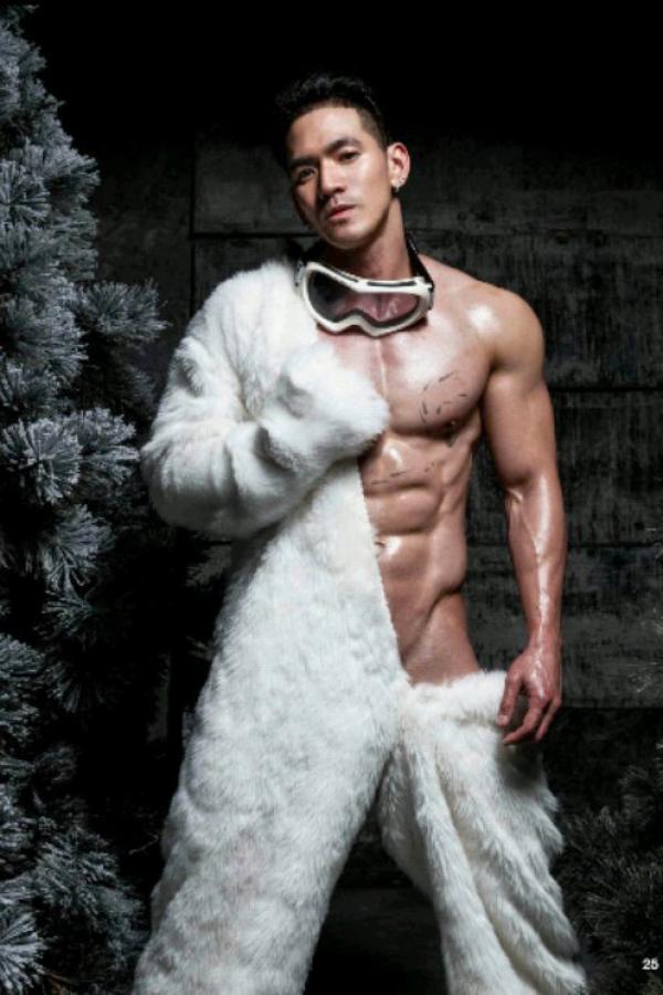 The-Pine-Forest--Special-Christmas-Collection