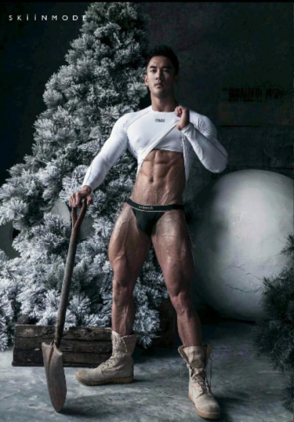 The-Pine-Forest--Special-Christmas-Collection