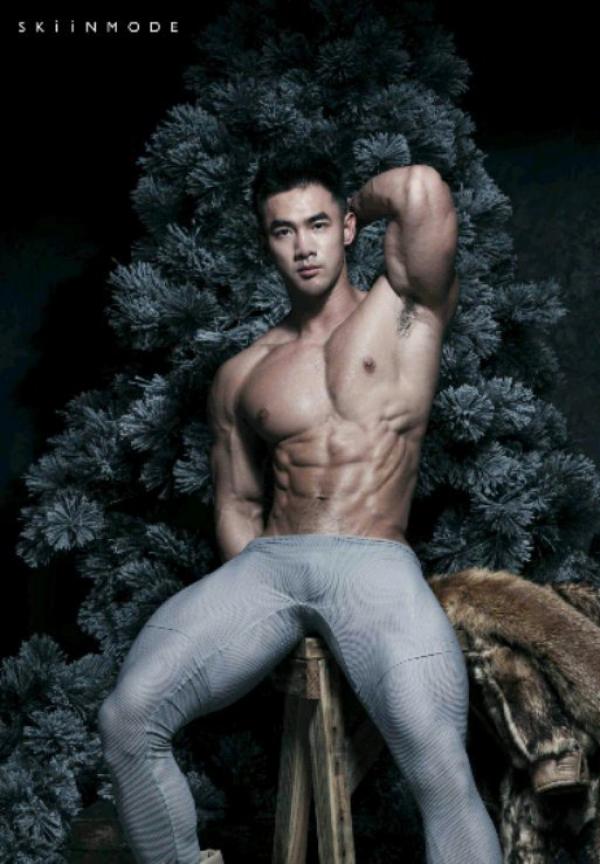 The-Pine-Forest--Special-Christmas-Collection