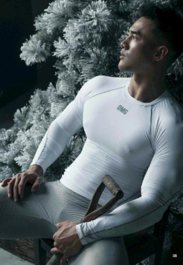 The-Pine-Forest--Special-Christmas-Collection