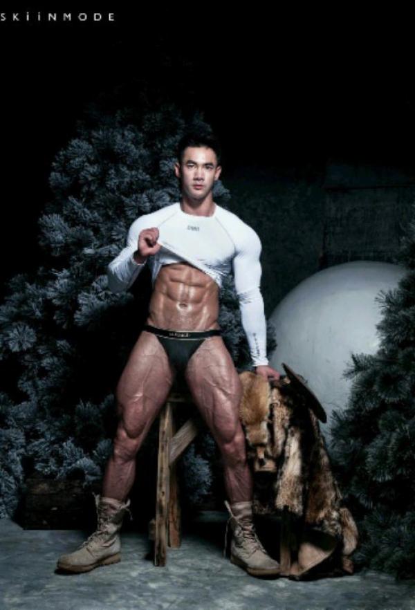 The-Pine-Forest--Special-Christmas-Collection