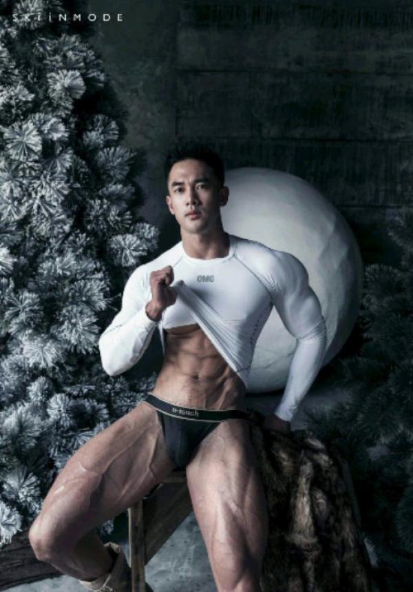 The-Pine-Forest--Special-Christmas-Collection