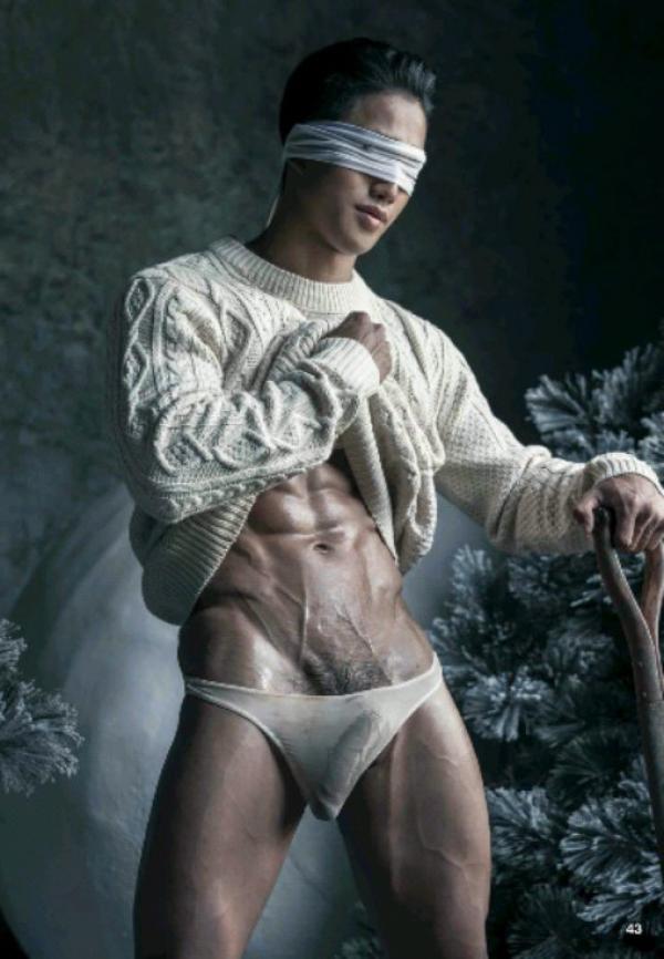 The-Pine-Forest--Special-Christmas-Collection