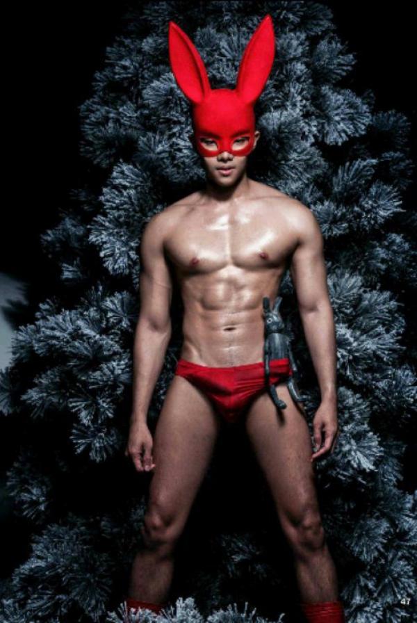 The-Pine-Forest--Special-Christmas-Collection