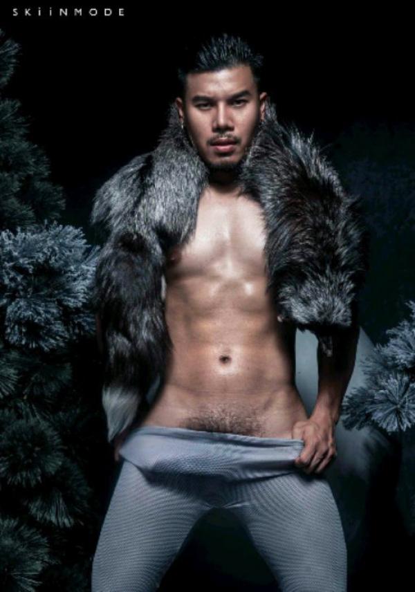 The-Pine-Forest--Special-Christmas-Collection