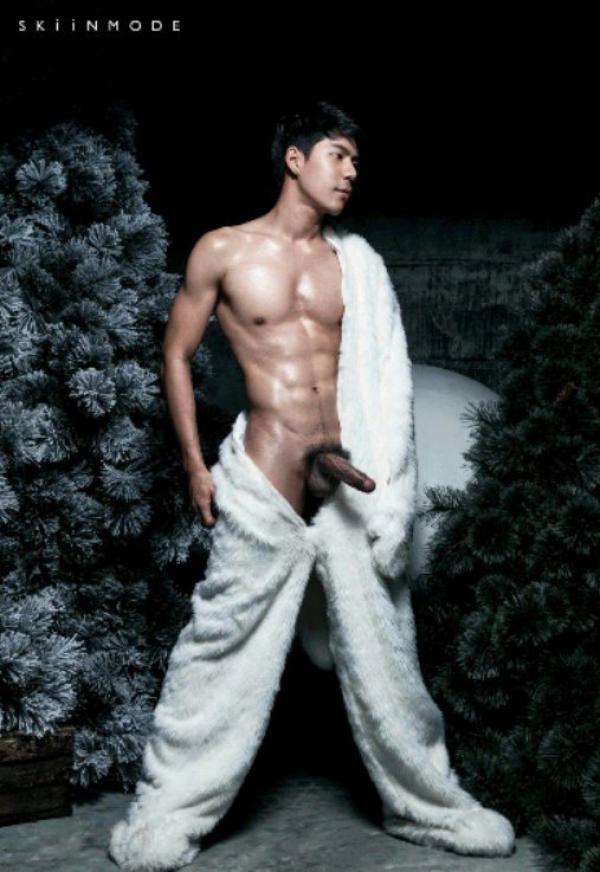 The-Pine-Forest--Special-Christmas-Collection