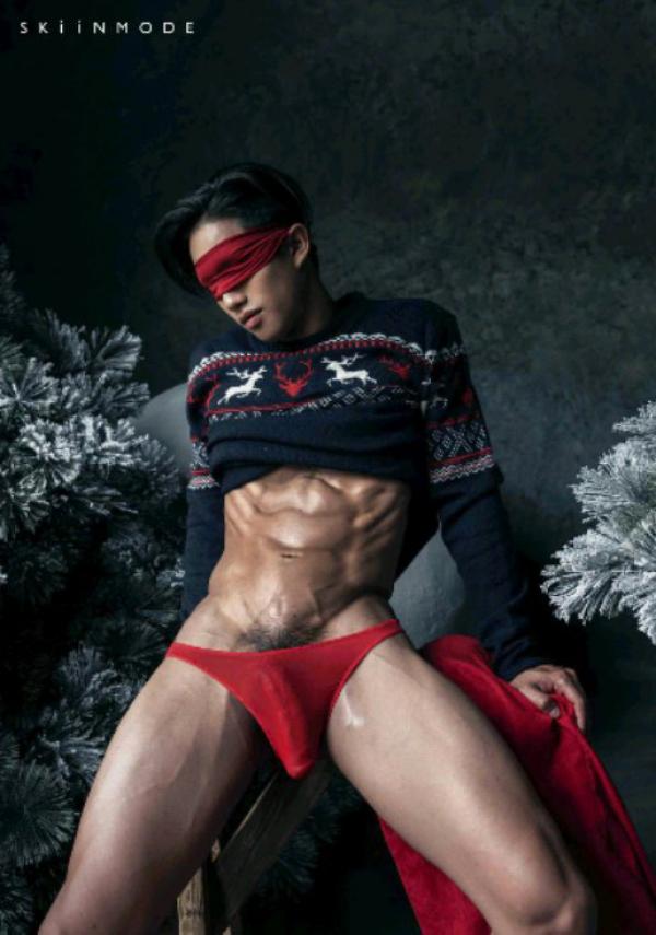 The-Pine-Forest--Special-Christmas-Collection