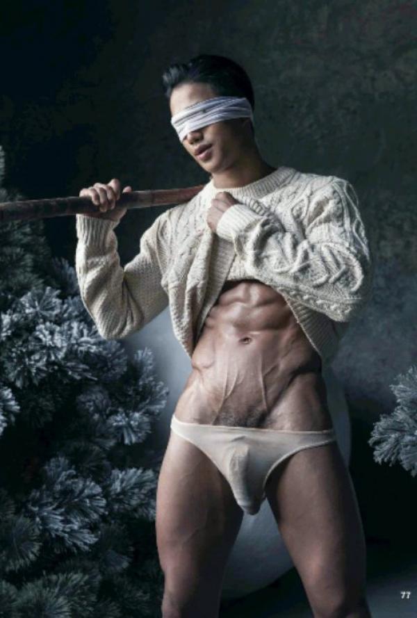 The-Pine-Forest--Special-Christmas-Collection