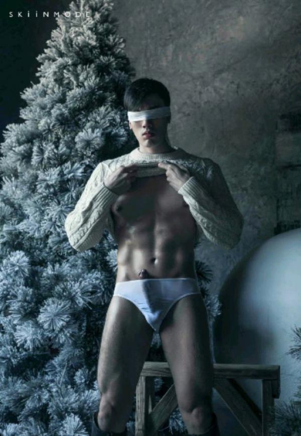 The-Pine-Forest--Special-Christmas-Collection