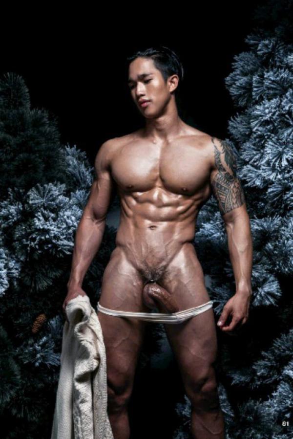 The-Pine-Forest--Special-Christmas-Collection