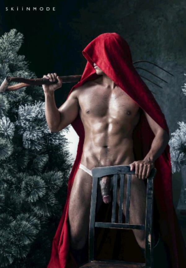 The-Pine-Forest--Special-Christmas-Collection