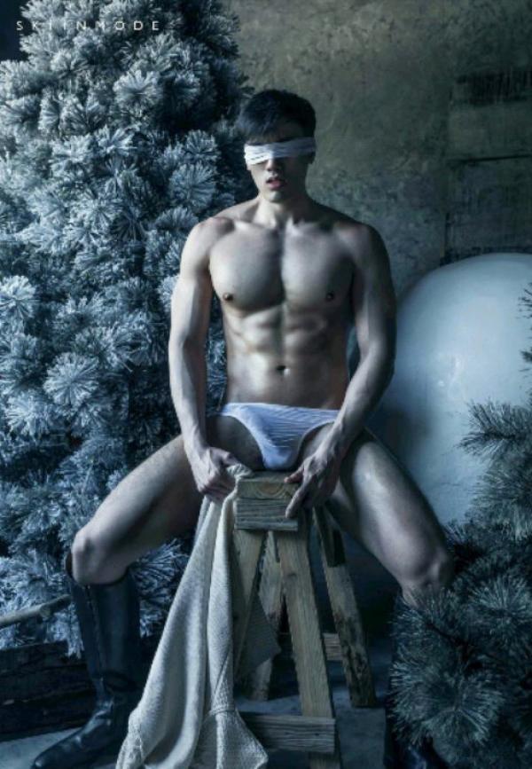 The-Pine-Forest--Special-Christmas-Collection