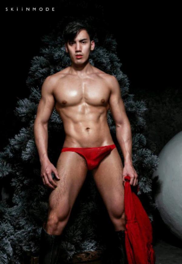 The-Pine-Forest--Special-Christmas-Collection