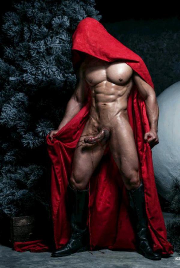 The-Pine-Forest--Special-Christmas-Collection