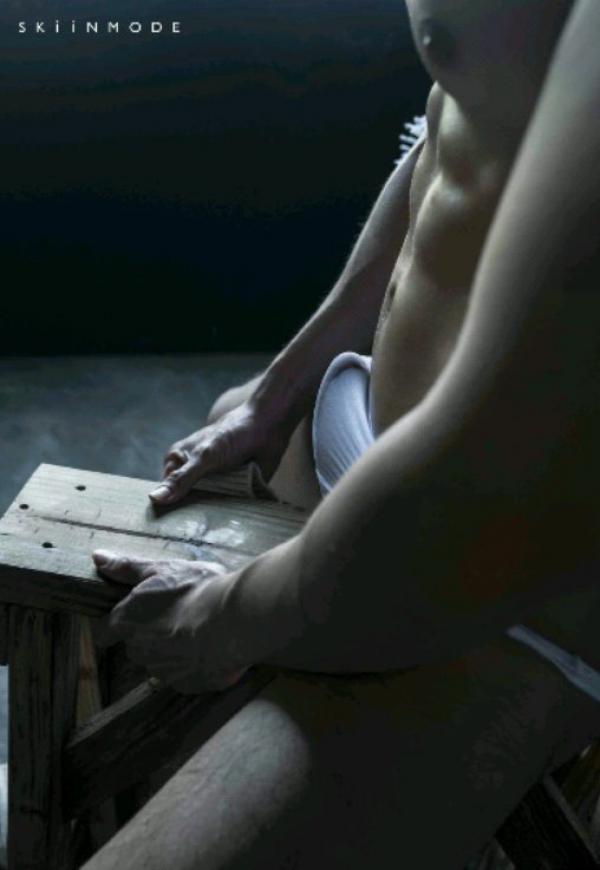 The-Pine-Forest--Special-Christmas-Collection