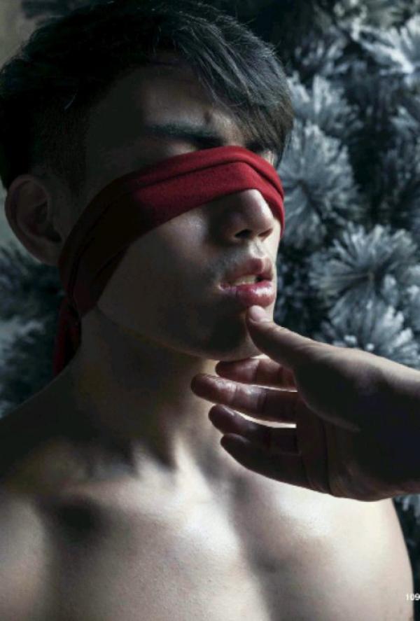 The-Pine-Forest--Special-Christmas-Collection