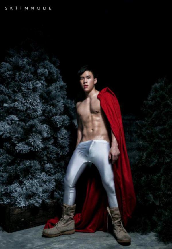 The-Pine-Forest--Special-Christmas-Collection