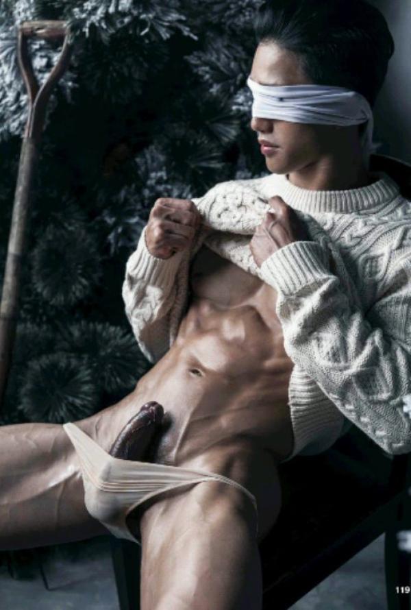 The-Pine-Forest--Special-Christmas-Collection