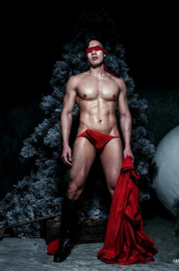 The-Pine-Forest--Special-Christmas-Collection