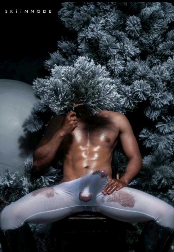 The-Pine-Forest--Special-Christmas-Collection