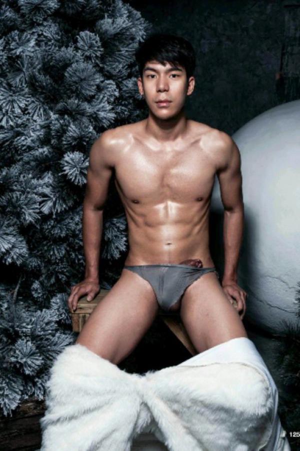 The-Pine-Forest--Special-Christmas-Collection