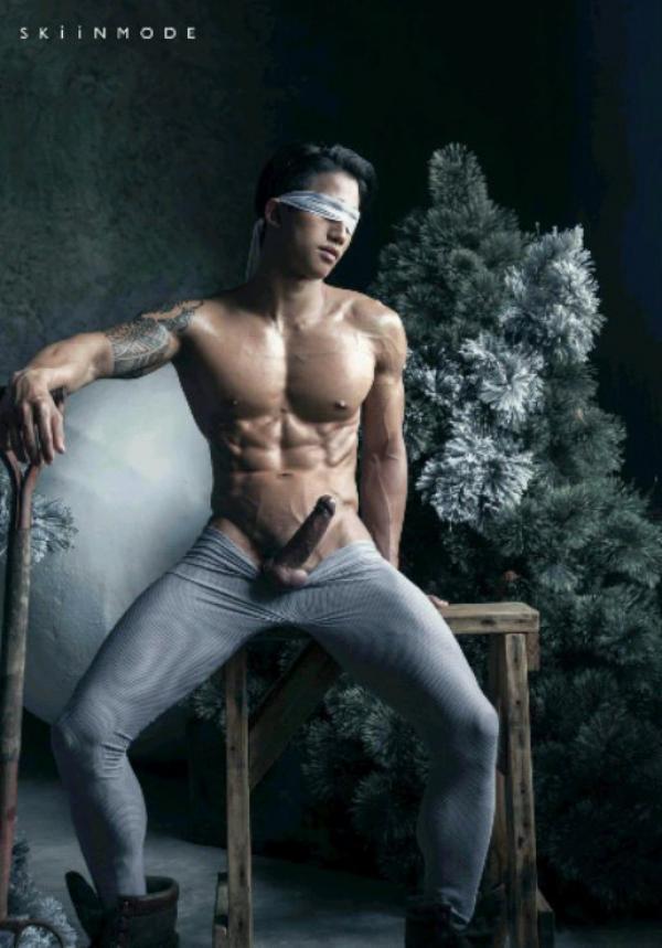 The-Pine-Forest--Special-Christmas-Collection