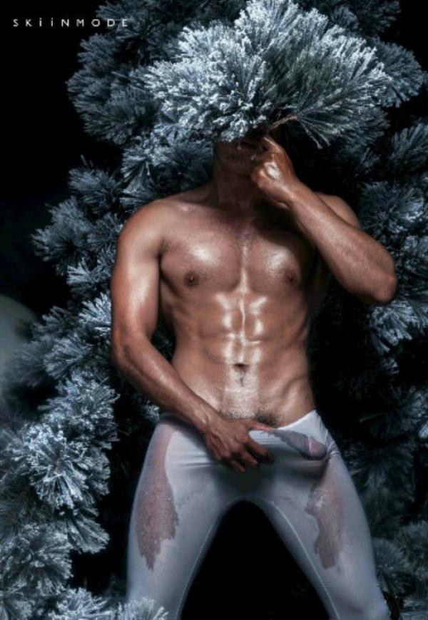 The-Pine-Forest--Special-Christmas-Collection