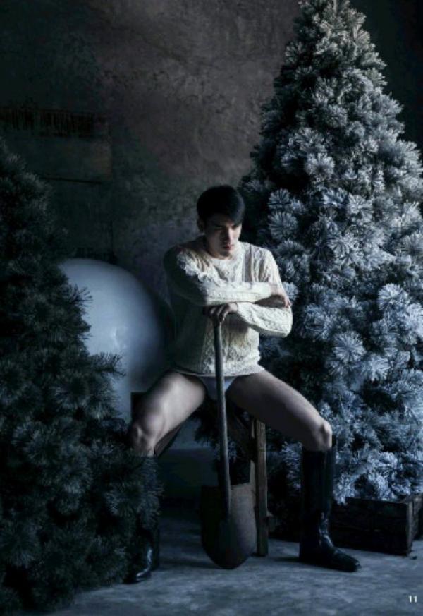 The-Pine-Forest--Special-Christmas-Collection