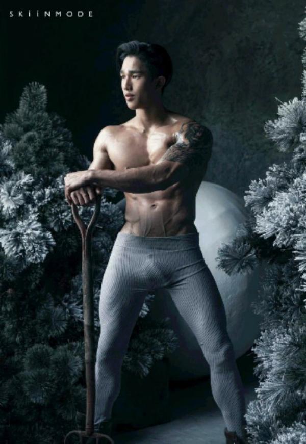 The-Pine-Forest--Special-Christmas-Collection