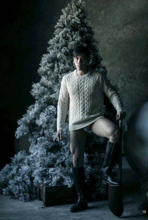 The-Pine-Forest--Special-Christmas-Collection