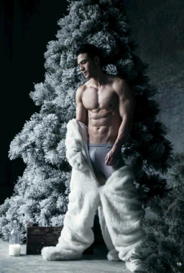 The-Pine-Forest--Special-Christmas-Collection