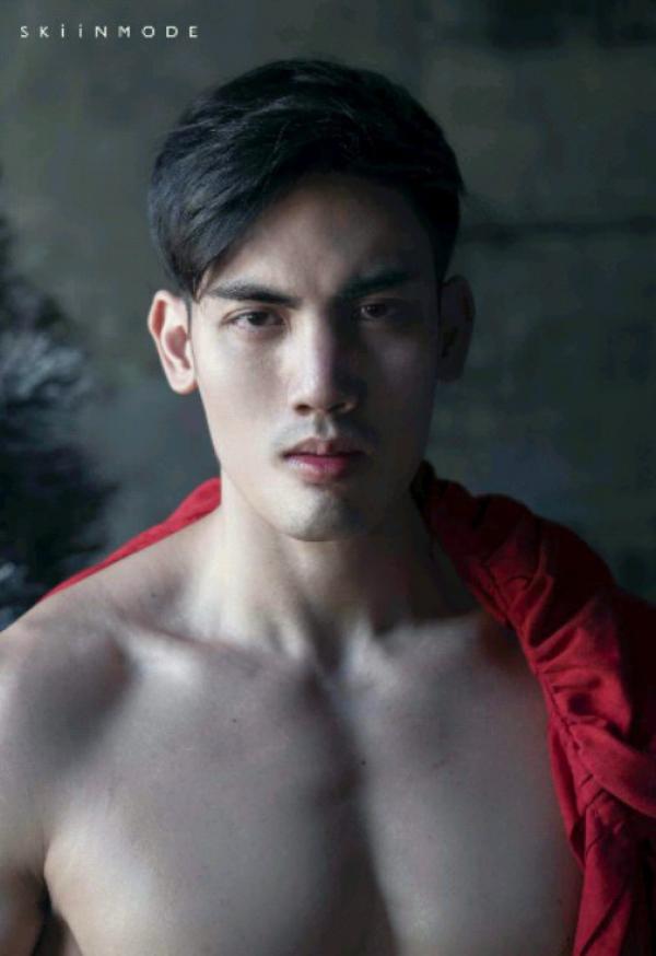 The-Pine-Forest--Special-Christmas-Collection