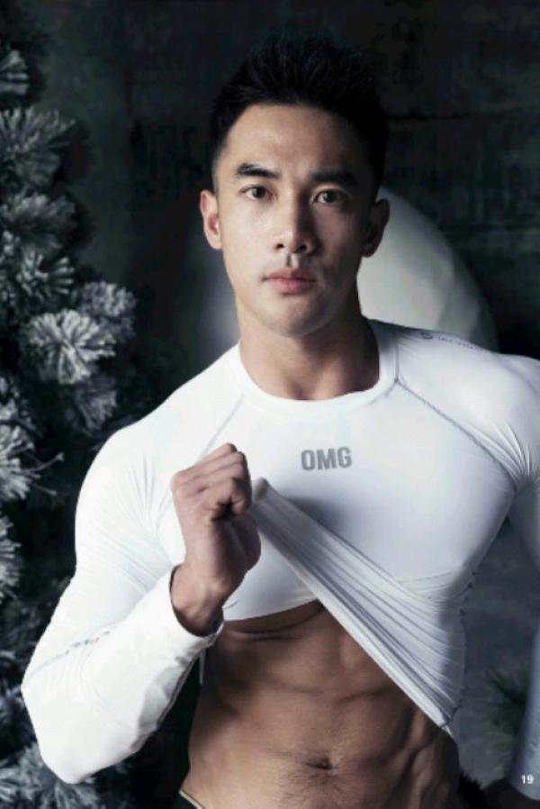 The-Pine-Forest--Special-Christmas-Collection