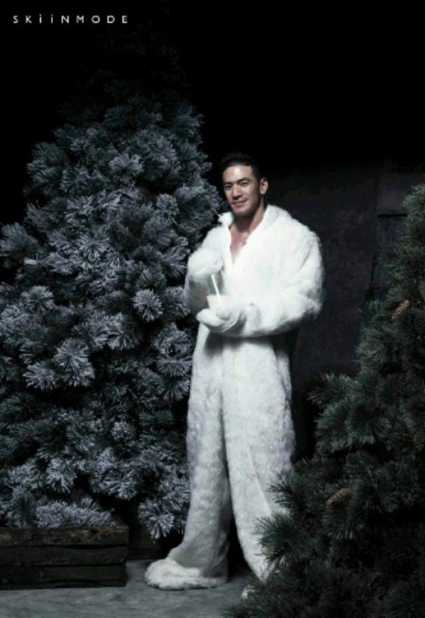 The-Pine-Forest--Special-Christmas-Collection