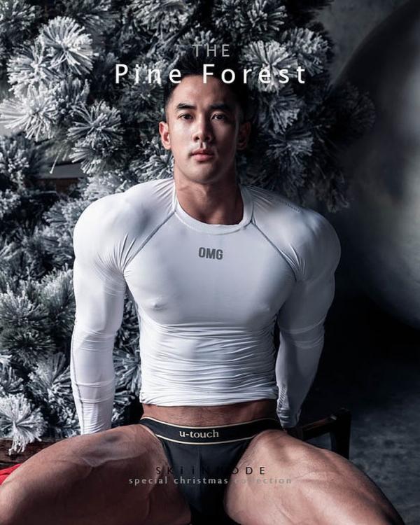 The-Pine-Forest--Special-Christmas-Collection