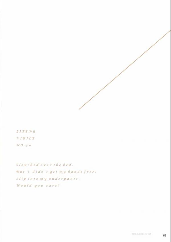 Virile-No.30-EbookVideo